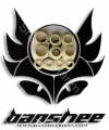 Banshee Parts - �� ������ �-Rune
