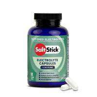 ��� ������ ����� ��������� - SaltStick-100 ������