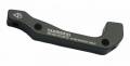 ���� ���� ����