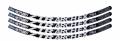 Stan's Notubes Arch EX Gray Decal
