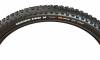 ���� ����� ������ ��� ����� Maxxis Minion DHR II