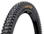 ���� ������ ���� Continental Xynotal