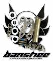 �� ����� ���� ������ Banshee Wildcard